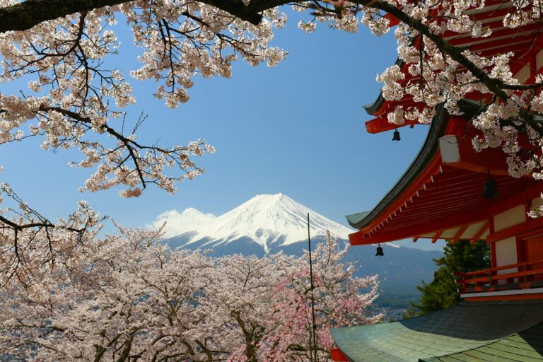 Japan Tour